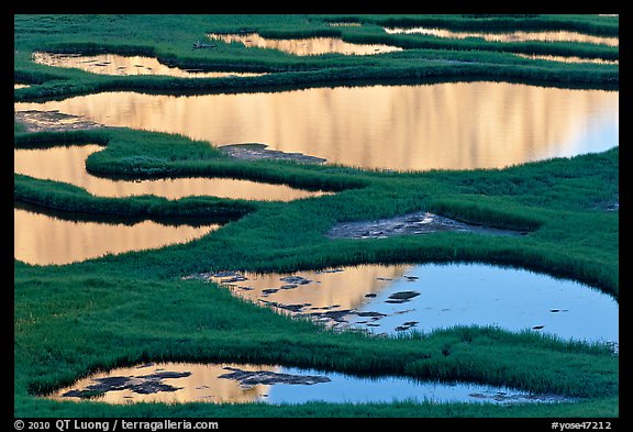 Ponds and reflections, late afternoon. Yosemite National Park, California, USA.