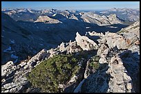 View over northern Yosemite, early morning. Yosemite National Park, California, USA. (color)