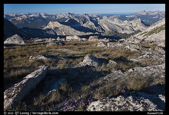 Alpine environment with distant mountains, Mount Conness. Yosemite National Park, California, USA.