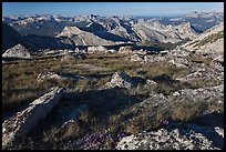 Alpine environment with distant mountains, Mount Conness. Yosemite National Park, California, USA.