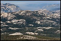 Distant view of the Grand Canyon of the Tuolumne. Yosemite National Park, California, USA. (color)