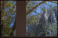 North Rim, Yosemite Valley visitor center window reflexion. Yosemite National Park ( color)