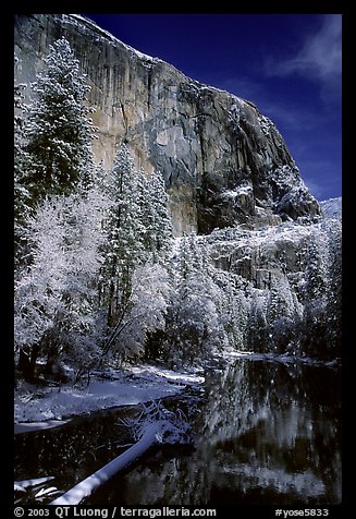 East Face of El Capitan and Merced River in winter. Yosemite National Park, California, USA.