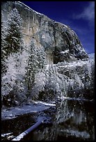 East Face of El Capitan and Merced River in winter. Yosemite National Park, California, USA.