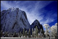 Cathedral rocks covered in snow and ice, winter  morning. Yosemite National Park, California, USA.