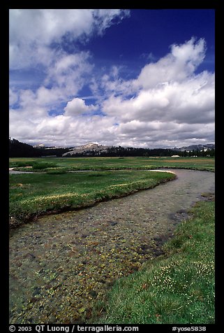 Stream in Tuolumne Meadows. Yosemite National Park, California, USA.