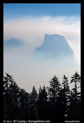 Half-Dome and Clouds Rest in fog above tree line. Yosemite National Park, California, USA.