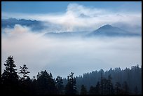 Valley below Clark Range filled with smoke. Yosemite National Park ( color)