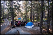 Camping in Bridalveil Creek Campground. Yosemite National Park, California, USA.