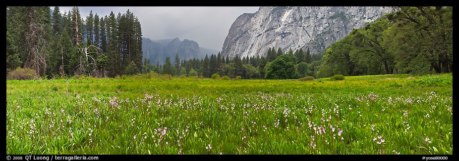 Cook Meadow, spring storm, looking towards Catheral Rocks. Yosemite National Park, California, USA.