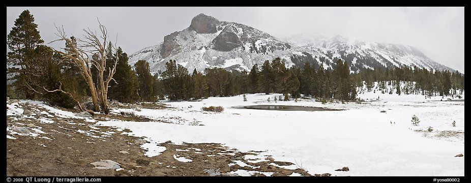 Tioga Pass, peaks and snow-covered meadow. Yosemite National Park, California, USA.