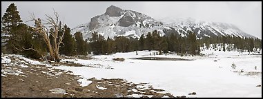 Tioga Pass, peaks and snow-covered meadow. Yosemite National Park, California, USA. (color)