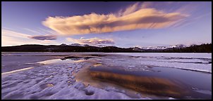 Snow-covered Twolumne Meadows and big cloud at sunset. Yosemite National Park, California, USA.