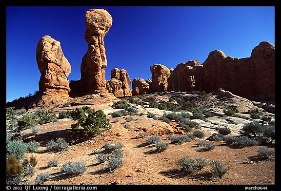 Garden of  Eden, a cluster of pinnacles and monoliths. Arches National Park (color)