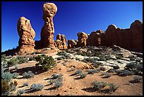 Garden of  Eden, a cluster of pinnacles and monoliths. Arches National Park, Utah, USA.