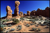 Garden of  Eden, a cluster of pinnacles and monoliths. Arches National Park, Utah, USA. (color)