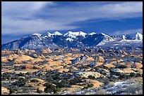 Petrified dunes, ancient dunes turned to slickrock, and La Sal mountains, winter afternoon. Arches National Park, Utah, USA.