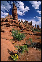 Wildflowers, sandstone pillars, Klondike Bluffs. Arches National Park, Utah, USA.