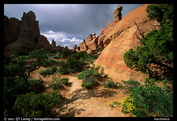 Sandy wash and rocks, Klondike Bluffs. Arches National Park, Utah, USA.