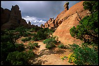 Sandy wash and rocks, Klondike Bluffs. Arches National Park ( color)