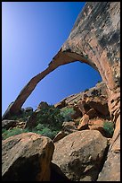 Landscape Arch, morning. Arches National Park, Utah, USA. (color)