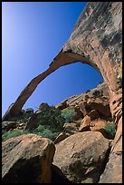 Landscape Arch, morning. Arches National Park, Utah, USA.