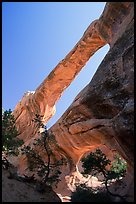 Double O Arch, afternoon. Arches National Park, Utah, USA.