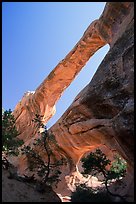 Double O Arch, afternoon. Arches National Park, Utah, USA. (color)