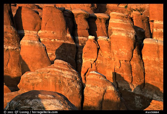 Sandstone fins at Fiery Furnace, sunset. Arches National Park (color)