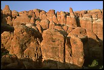 Sandstone fins at Fiery Furnace, sunset. Arches National Park ( color)