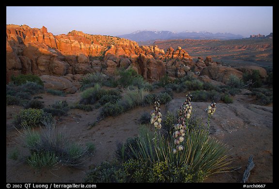 Fiery Furnace, and La Sal Mountains, dusk. Arches National Park (color)