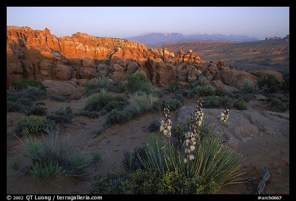 Fiery Furnace, and La Sal Mountains, dusk. Arches National Park, Utah, USA.