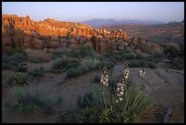 Fiery Furnace, and La Sal Mountains, dusk. Arches National Park, Utah, USA. (color)