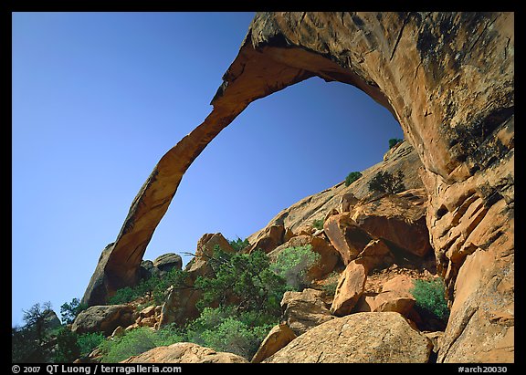 Landscape Arch, morning. Arches National Park (color)