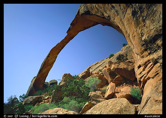 Landscape Arch, morning. Arches National Park, Utah, USA.