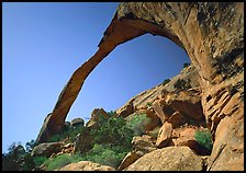 Landscape Arch, morning. Arches National Park, Utah, USA. (color)