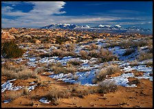 Petrified dunes, ancient dunes turned to slickrock, and La Sal mountains, winter afternoon. Arches National Park, Utah, USA.