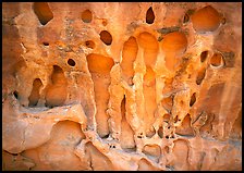 Holes in sandstone wall near Navajo Arch. Arches National Park, Utah, USA.