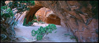 Navajo Arch. Arches National Park (Panoramic color)