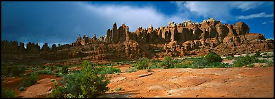 Sandstone pinnacles, Klondike Bluffs. Arches National Park, Utah, USA.