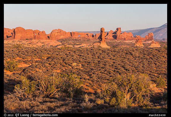 Desert shrub, flatlands, and Windows group in distance. Arches National Park, Utah, USA.