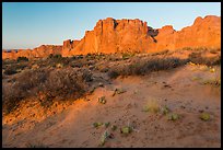 Great Wall at sunrise. Arches National Park, Utah, USA. (color)