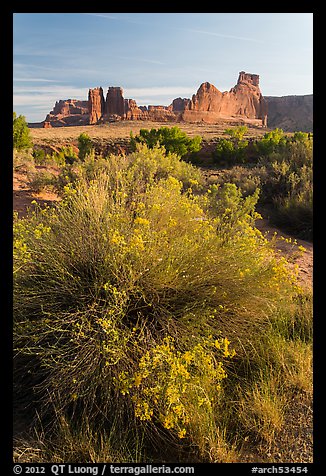 Shrub, cottonwoods and sandstone towers. Arches National Park, Utah, USA.