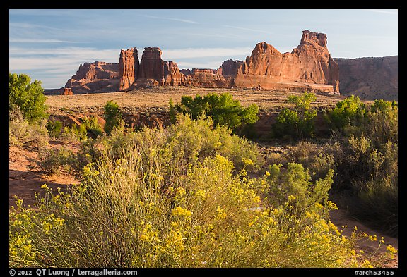 Shrub, cottonwoods and sandstone fins. Arches National Park (color)