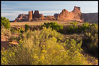 Shrub, cottonwoods and sandstone fins. Arches National Park ( color)