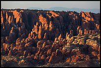 Fiery Furnace fins on hillside. Arches National Park, Utah, USA. (color)