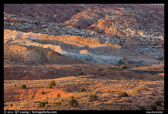 Last light on shrubs and rocks. Arches National Park, Utah, USA.