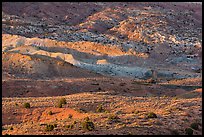 Last light on shrubs and rocks. Arches National Park ( color)