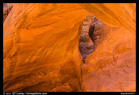 Sand Dune Arch detail. Arches National Park (color)