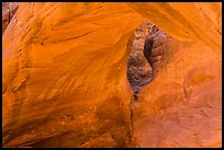 Sand Dune Arch detail. Arches National Park, Utah, USA. (color)